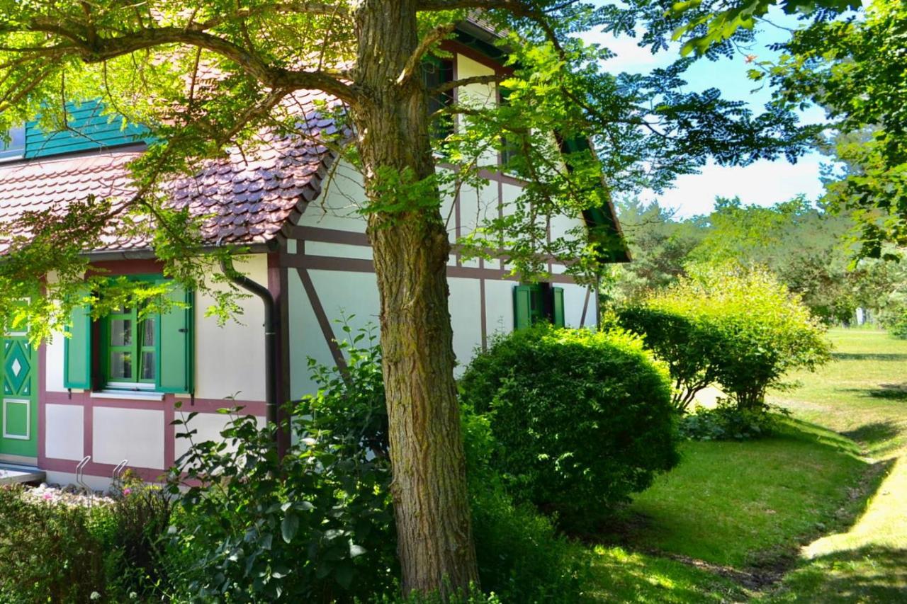 Strandnahe Ferienwohnung Ruegen Дранске Екстериор снимка