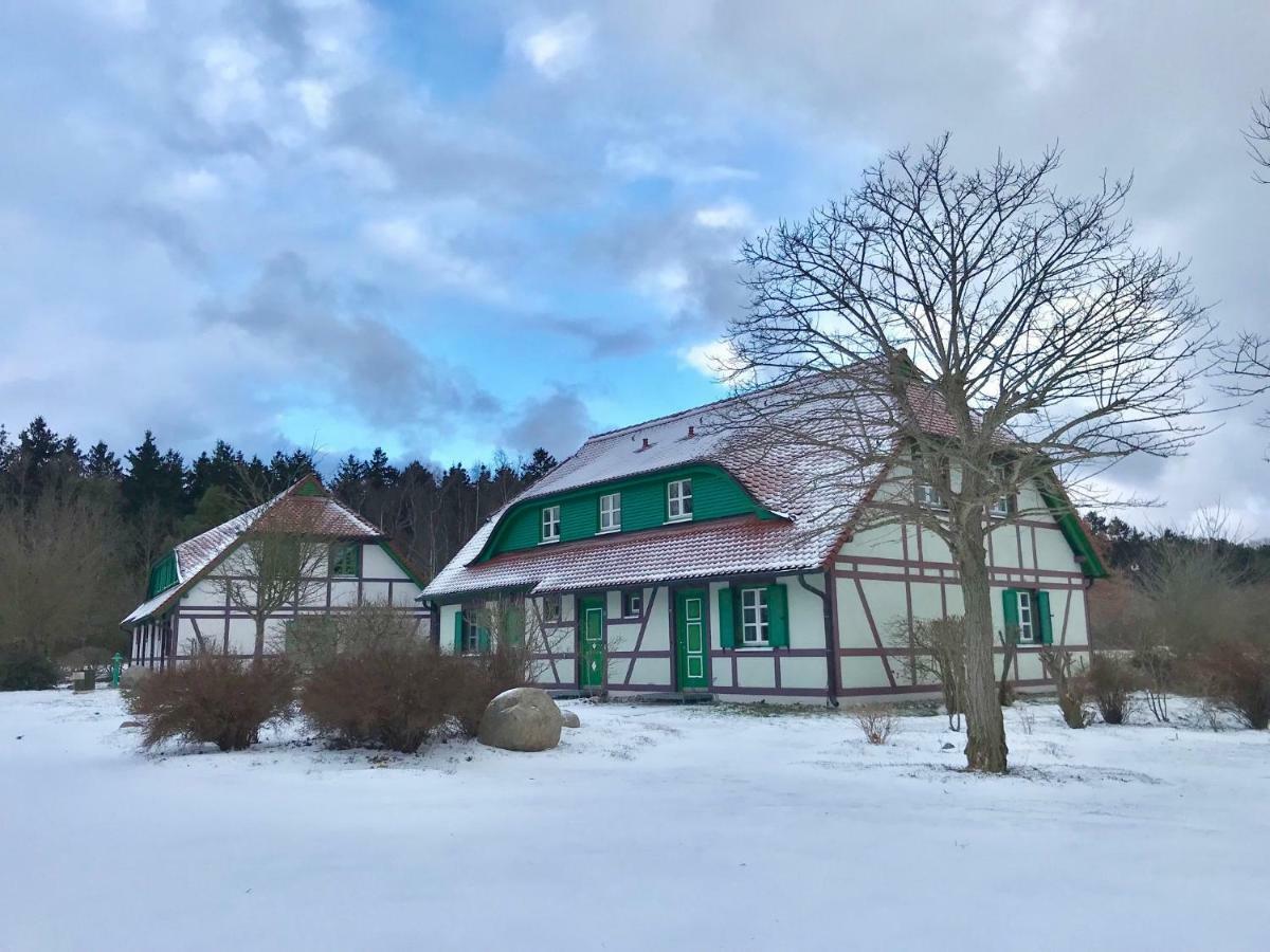 Strandnahe Ferienwohnung Ruegen Дранске Екстериор снимка
