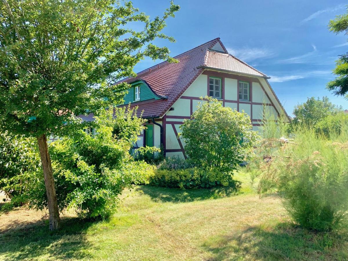 Strandnahe Ferienwohnung Ruegen Дранске Екстериор снимка
